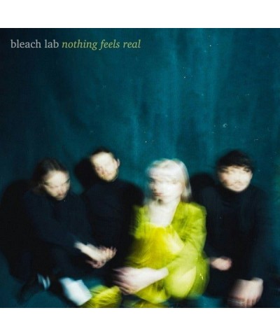 Bleach Lab Nothing Feels Real Vinyl Record $16.42 Vinyl