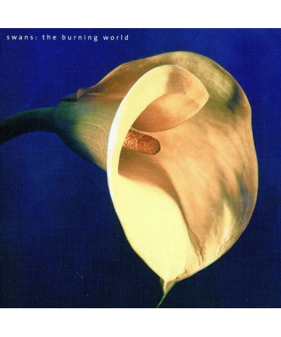 Swans BURNING WORLD CD $5.27 CD