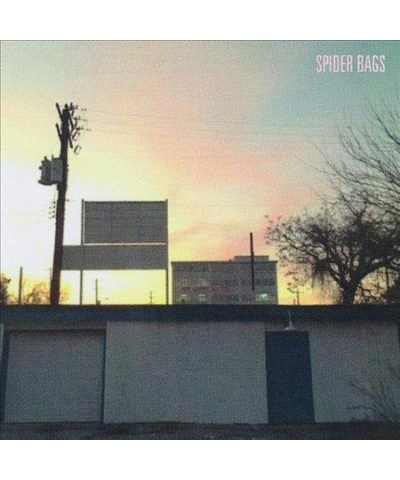 Spider Bags Someday Everything Will Be Fine Vinyl Record $7.12 Vinyl