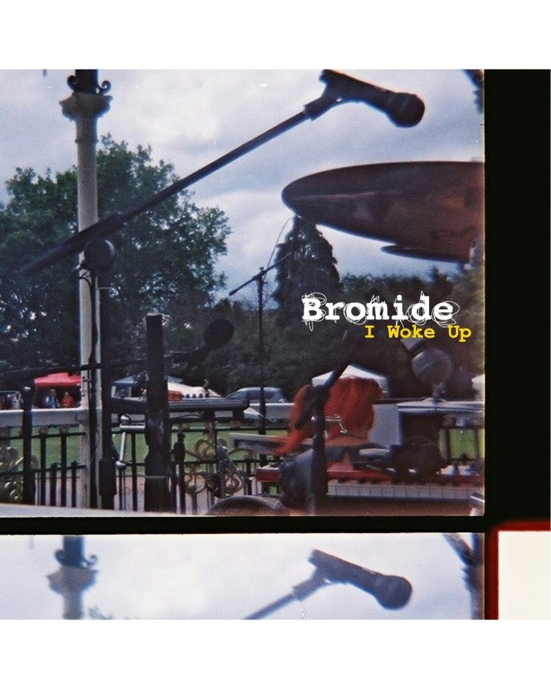 Bromide I Woke Up' Vinyl Record $8.94 Vinyl